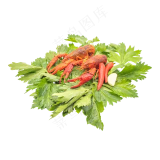 芹菜叶子龙虾
