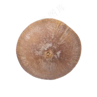 蘑菇（png免抠）