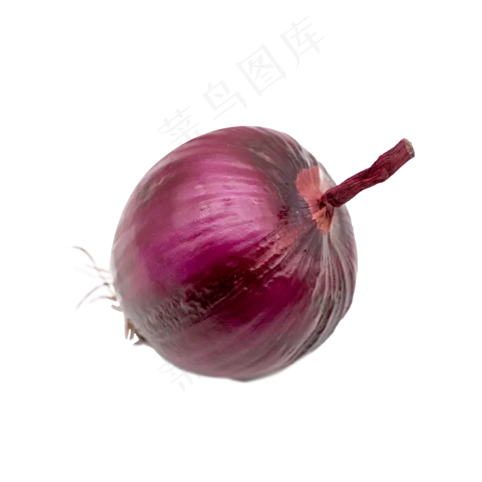 紫色洋葱实物拍摄(2000X2000(DPI:300))