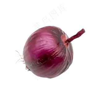 紫色洋葱实物拍摄