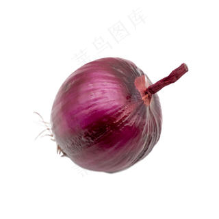 紫色洋葱实物拍摄