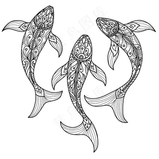 花哨的鲤鱼图案。成人绘本手绘素描插图