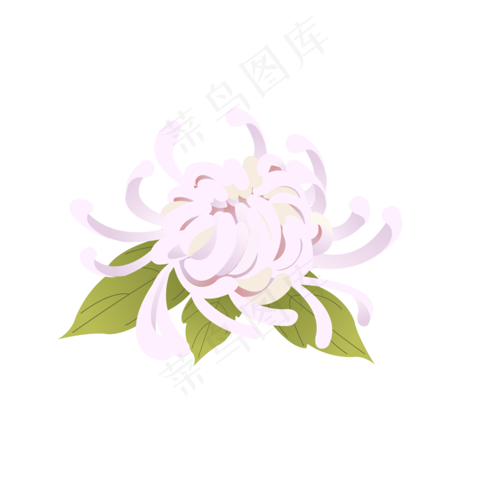 中元节白色菊花祭祀元素(2000X2000(DPI:300))ai矢量模版下载