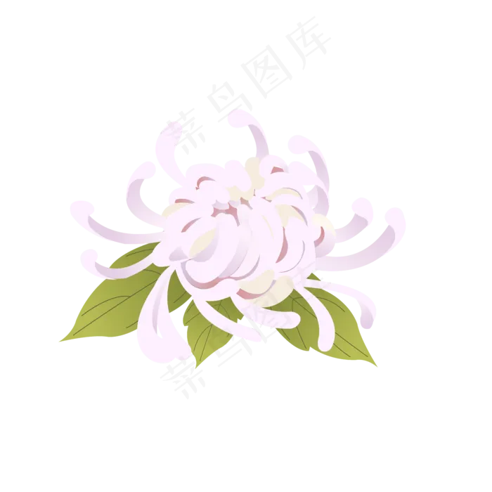 中元节白色菊花祭祀元素(2000X2000(DPI:300))ai矢量模版下载