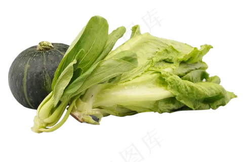 绿色有机蔬菜 绿色有机蔬菜