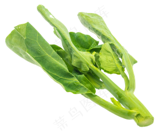 菠菜蔬菜食材