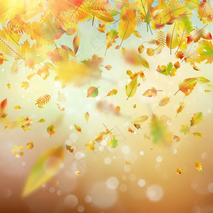 秋雨色彩斑斓，背景模糊。eps,ai矢量模版下载