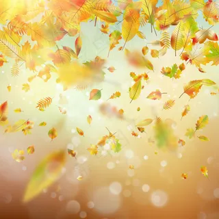 秋雨色彩斑斓，背景模糊。