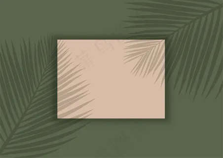 显示棕榈树叶阴影覆盖的背景