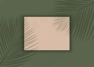 显示棕榈树叶阴影覆盖的背景