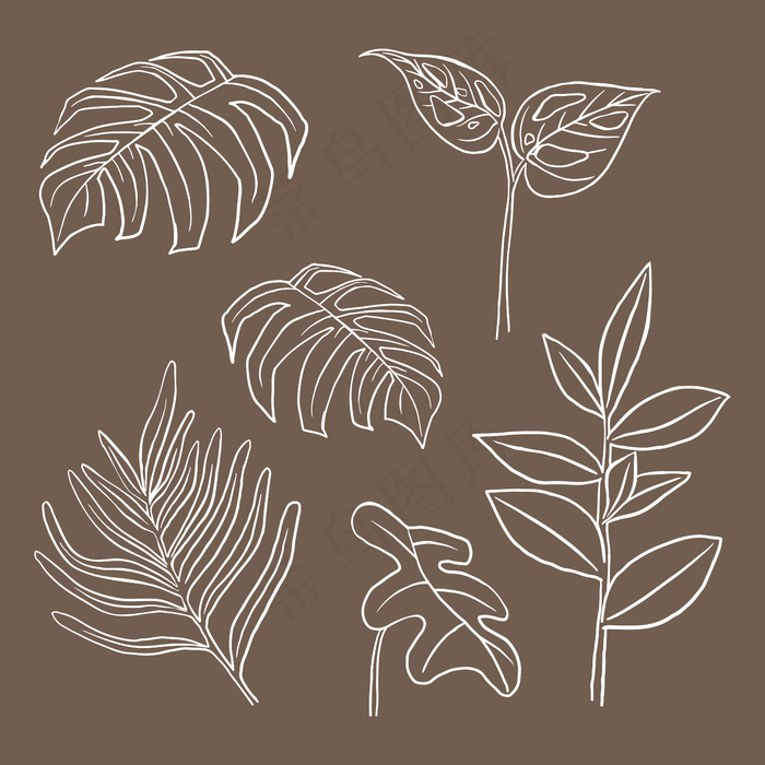 热带叶矢量涂鸦植物插图集eps,ai矢量模版下载