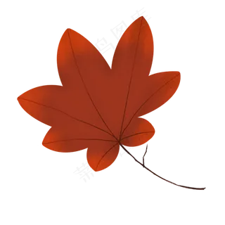 秋天红色枫叶落叶