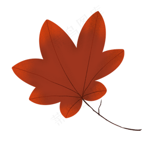 秋天红色枫叶落叶
