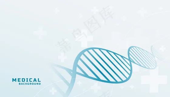 医学背景与dna形态