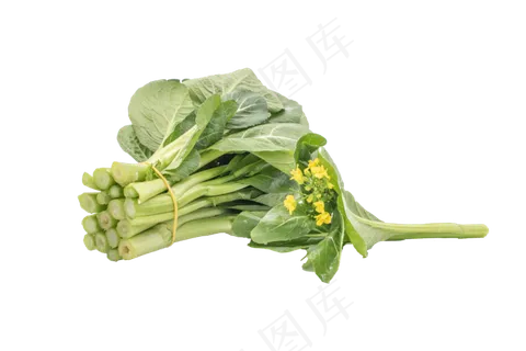 好吃新鲜蔬菜 好吃新鲜蔬菜