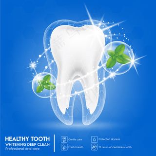 牙齿护理牙齿和薄荷叶