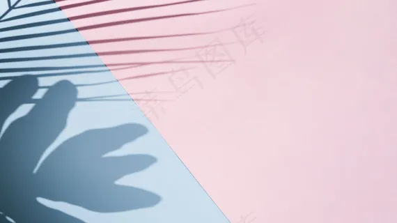 主打玫瑰，天蓝色背景，叶影