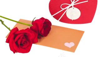 七夕情人节玫瑰花