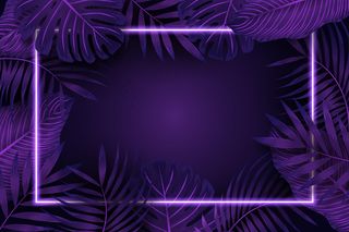 紫色霓虹灯框架的逼真树叶