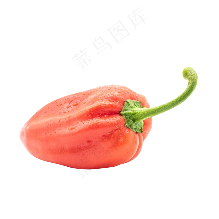 红色新鲜菜椒辣椒(5000*5000px 300 dpi )