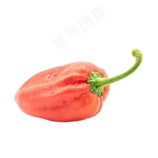 红色新鲜菜椒辣椒