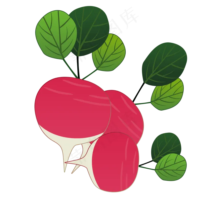 卡通红萝卜立秋蔬菜(2000X2000(DPI:300))psd模版下载