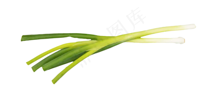 绿色蔬菜小葱(2500X2500(DPI:300))
