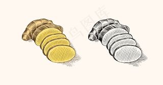 生姜根，切碎的根茎，新鲜植物。