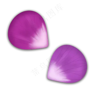 紫色边沿花瓣中秋