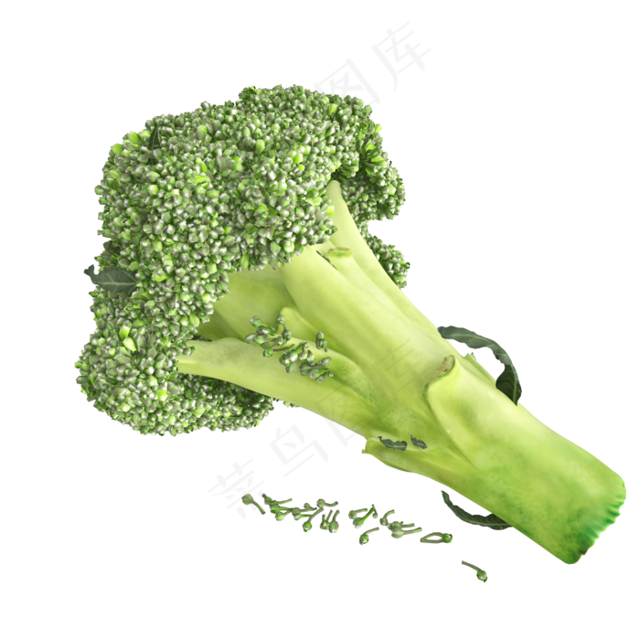 立体蔬菜西蓝花(3000X3000(DPI:300))psd模版下载