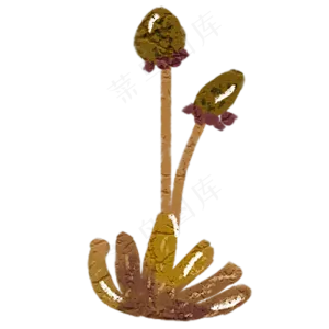金色的卡通手绘荷花免抠图