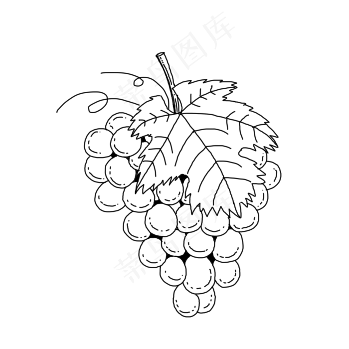 手绘线稿水果葡萄(2000*2000px 300 dpi )psd模版下载