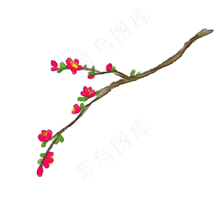 手绘花卉桃花水彩花叶子植物