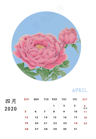 月历 2020 牡丹,免抠元素