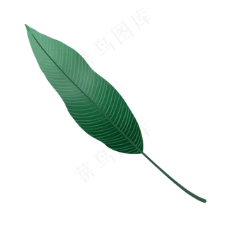 春季小清新植物手绘鸟巢叶