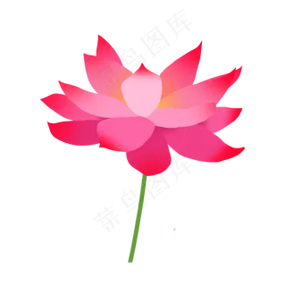 植物荷花卡通花朵