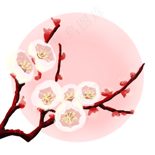 白色花朵褐色花枝