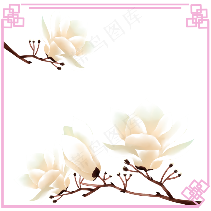 荷花木兰树望春花旱荷花早春花卉(2000X2000(DPI:300))psd模版下载
