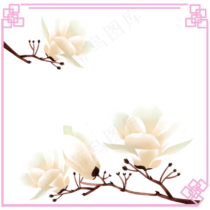 荷花木兰树望春花旱荷花早春花卉(2000X2000(DPI:300))psd模版下载