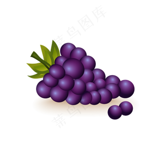 矢量手绘水果葡萄