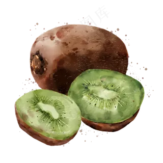 水果猕猴桃