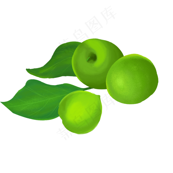 秋冬水果青梅(2000X2000(DPI:300))psd模版下载