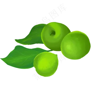 秋冬水果青梅 秋冬水果青梅