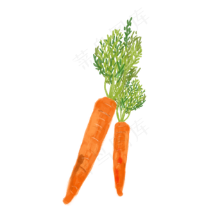 水彩小清新蔬菜水果胡萝卜