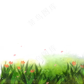 绿色的草地和花朵