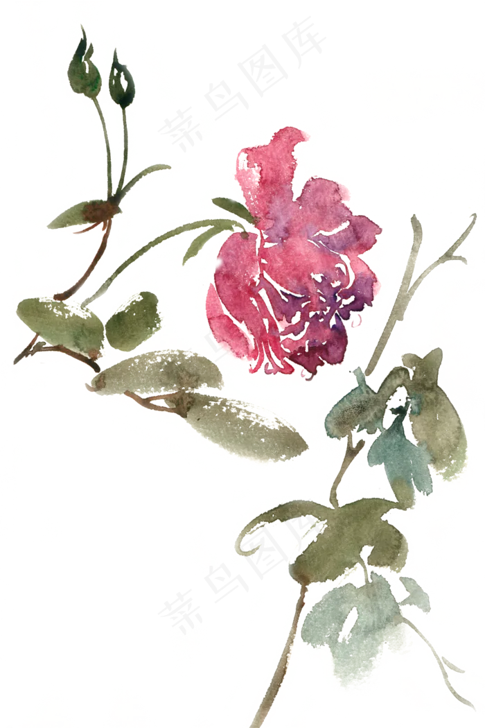 红色娇艳的花水彩画PNG免抠素材(4724X7087(DPI:300))psd模版下载