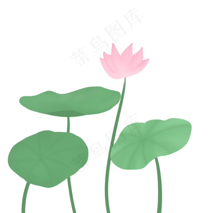 夏天荷花荷叶免抠图(2000X2000(DPI:300))psd模版下载