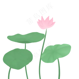 夏天荷花荷叶免抠图