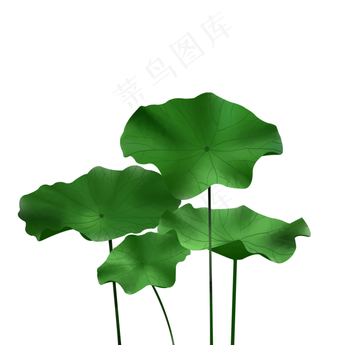 荷花矢量免抠图免费下载