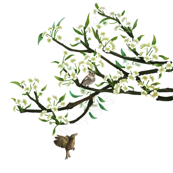 树枝小花朵绿叶png素材,免抠元素(2000X2000(DPI:300))psd模版下载